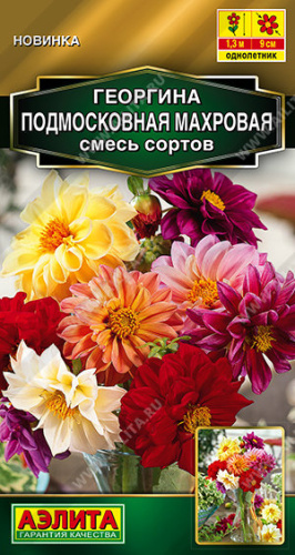 Георгина Подмосковная махровая, смесь сортов