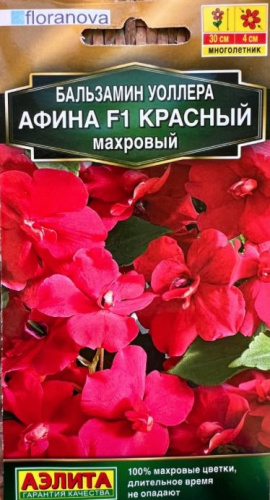 Бальзамин Афина F1 красный махровый