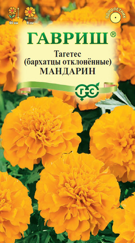 Бархатцы Мандарин отклоненные