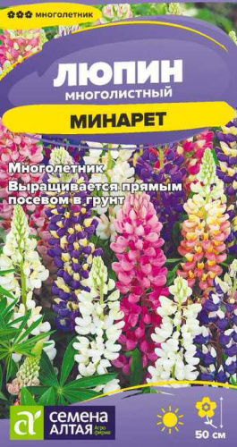 Люпин Минарет  многолетник