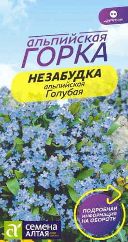 Незабудка Голубая садовая 