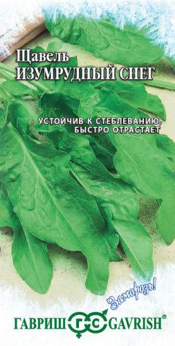 Щавель Изумрудный Снег 