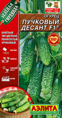 Огурец Пучковый десант F1®