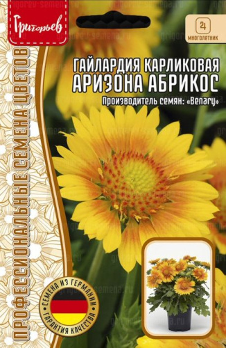 Гайлардия Аризона Абрикос карлик.