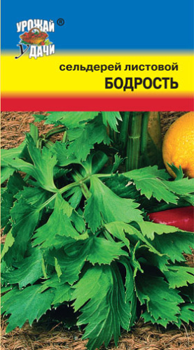 Сельдерей Бодрость листовой