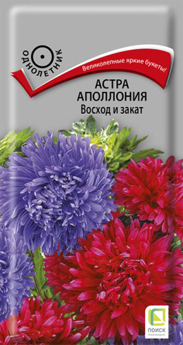 Астра Аполлония Восход и закат