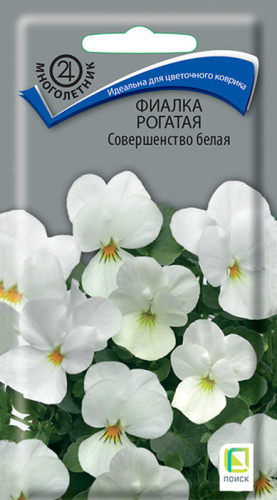 Фиалка рогатая Совершенство белая