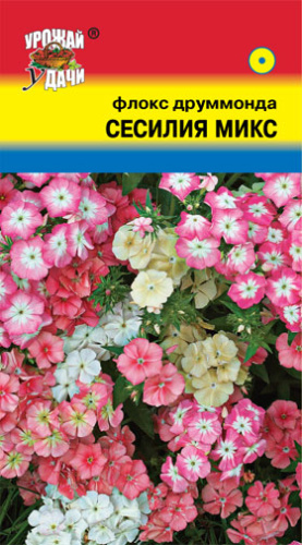Флокс Сесилия Смесь 