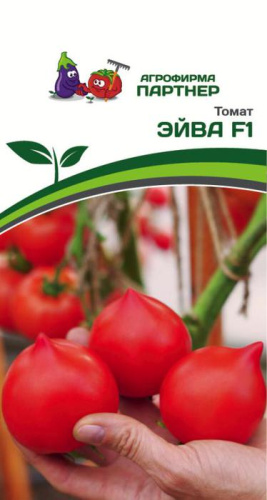 Томат Эйва F1