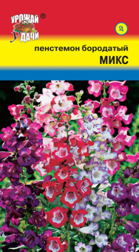 Пенстемон Бородатый Микс 