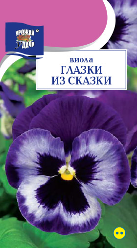 Виола Глазки Из Сказки