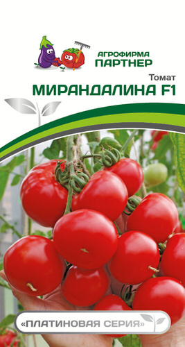 Томат Мирандалина F1 