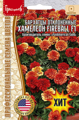 Бархатцы Файербол Хамелеон (Fireball) F1