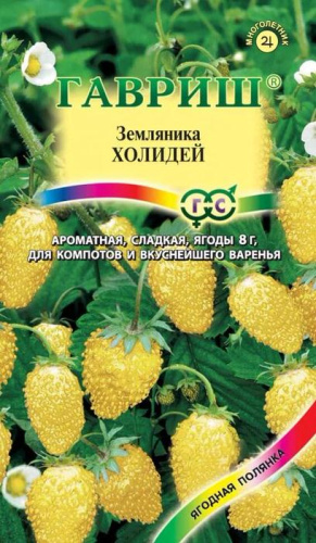 Земляника Холидей ремонтантная