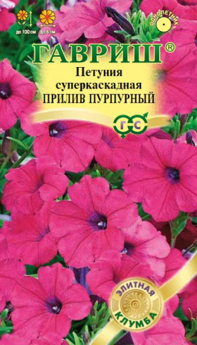 Петуния Прилив Пурпурный F1 (Минитуния) суперкаскадная