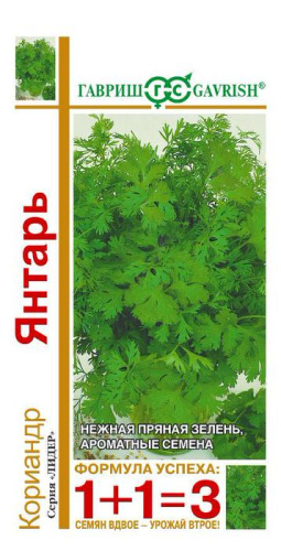 Кориандр Янтарь серия 1+1 