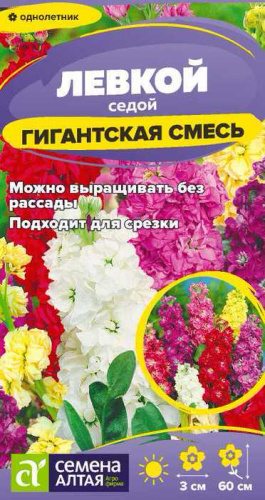 Левкой Гигантская Смесь окрасок 