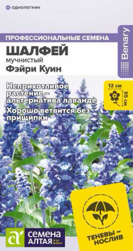 Шалфей Фэйри Куин мучнистый