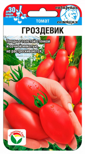 Томат Гроздевик