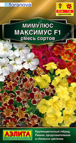 Мимулюс Максимус F1, гибридный смесь