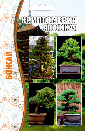 Криптомерия Японская