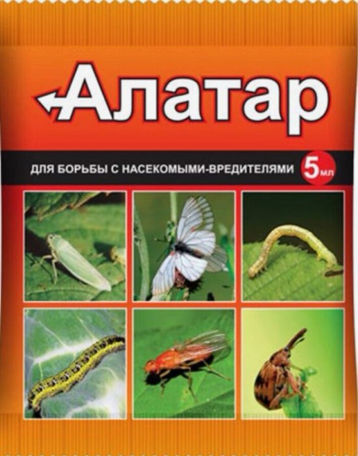 Алатар ХХI 5мл пакет/150