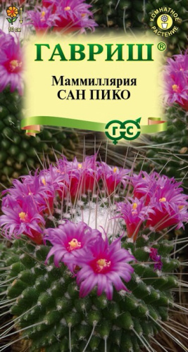 Маммиллярия Толука (Кактус) Сан пико