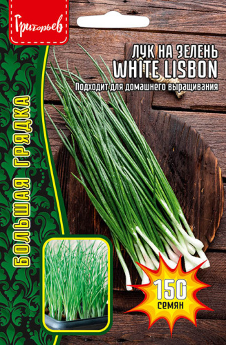 Лук White Lisbon на зелень