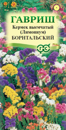 Лимониум Борнтальский (кермек), смесь 