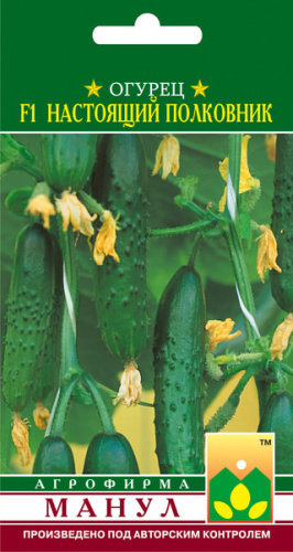 Огурец Настоящий полковник F1 