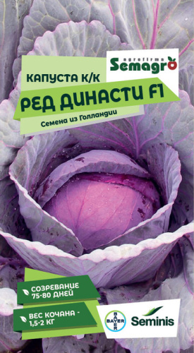 Капуста (к/к) Ред Династи F1 