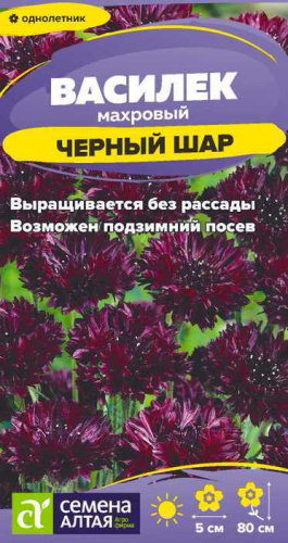 Василек Черный шар махровый