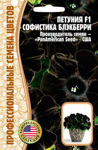 Петуния Софистика Блэкберри F1