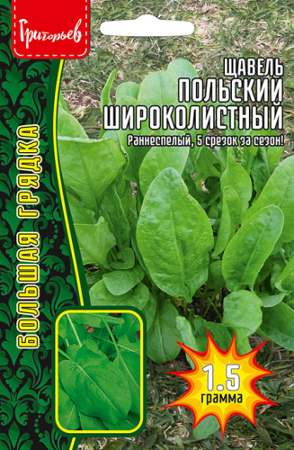 Щавель Польский Широколистный