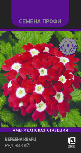 Вербена Кварц Ред виз Ай