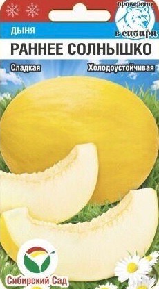 Дыня Раннее солнышко