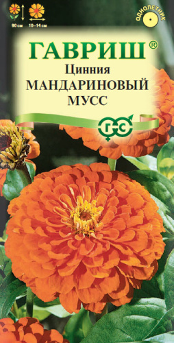 Цинния Мандариновый Мусс 