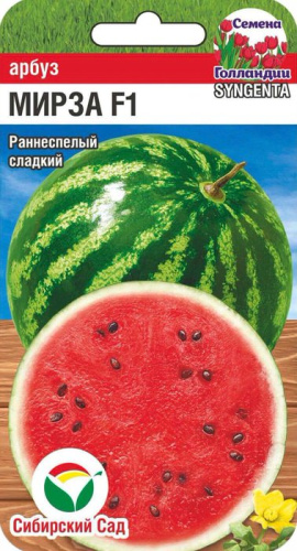 Арбуз Мирза