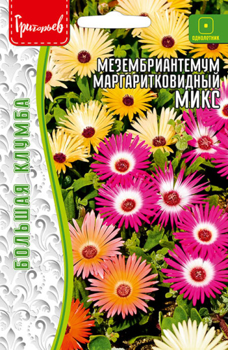 Мезембриантемум Микс маргаритковидный