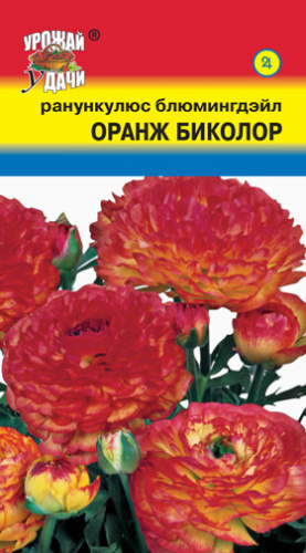 Ранункулюс Оранж Биколор Блюмингдэйл