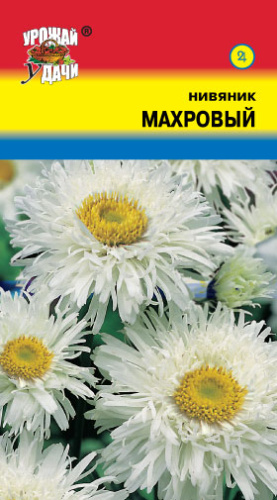 Нивяник Махровый 