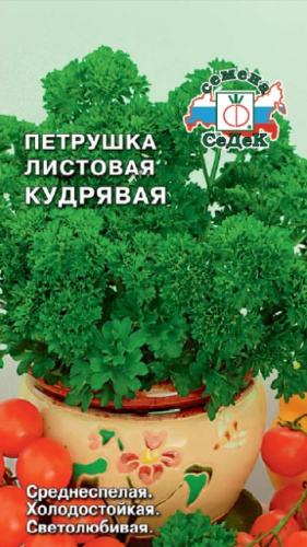 Петрушка Кудрявая 