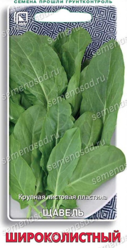 Щавель Широколистный /ОГ