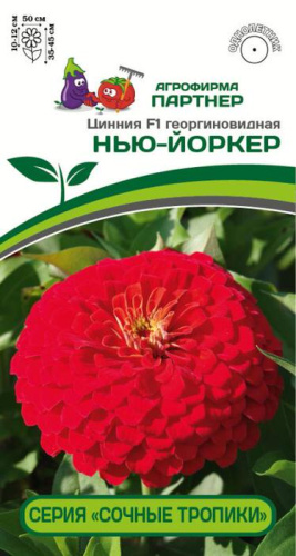 Цинния Сочные тропики Нью-Йоркер F1 ( 2-ой пак.) 