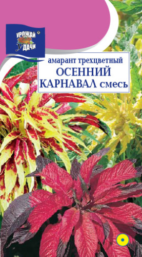 Амарант Осенний карнавал трехцветный