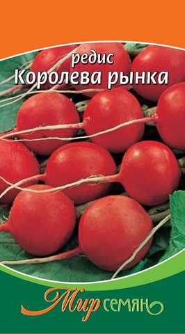 Редис Королева Рынка 3 гр