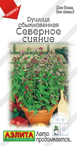 Душица Северное сияние