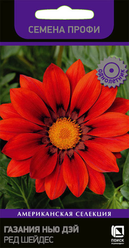 Газания Нью Дэй Ред Шейдес