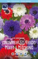 Анемона coronaria St. Brigid /20шт купить