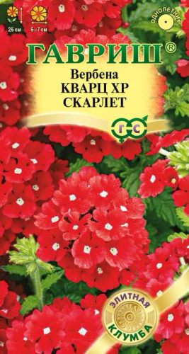 Вербена Кварц ХР Скарлет гибридная 